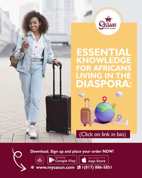Essential Knowledge for Africans Living in the Diaspora: 11 Must-Know Tips