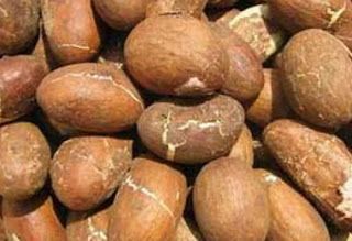 Bitter Kola nuts, also known as Orogbo, rich in vitamins and antioxidants.