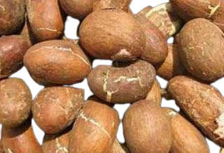 My Sasun Bitter Kola | Orogbo
