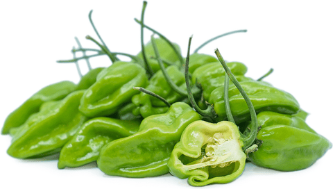 Fresh green habanero peppers with one cut open showing seeds and inner texture