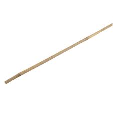 Cane stick for support and mobility.