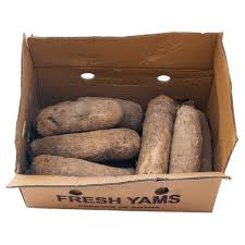 Fresh Yam | New Yam