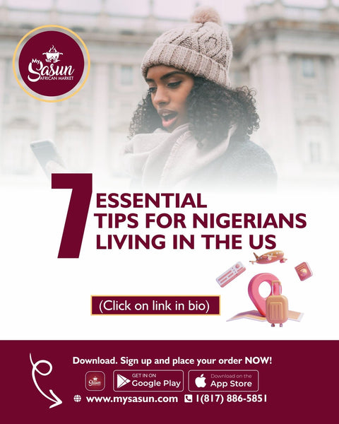 7 Essential Tips for Nigerians Living in the US