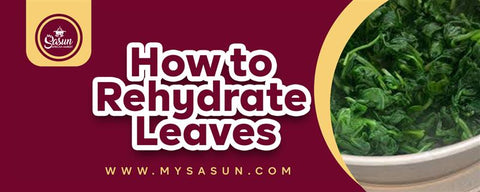 How to Rehydrate Leaves