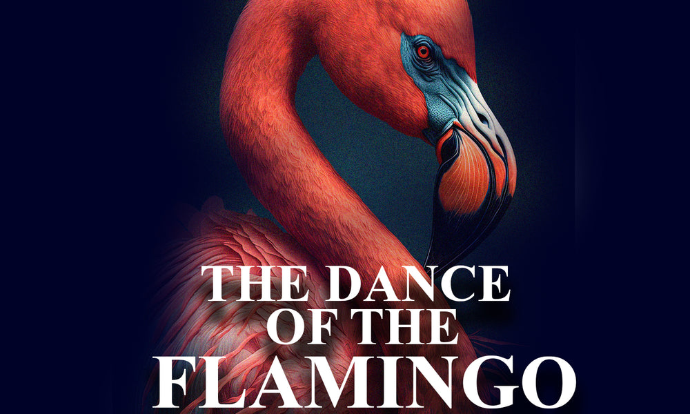 The Dance of the Flamingo