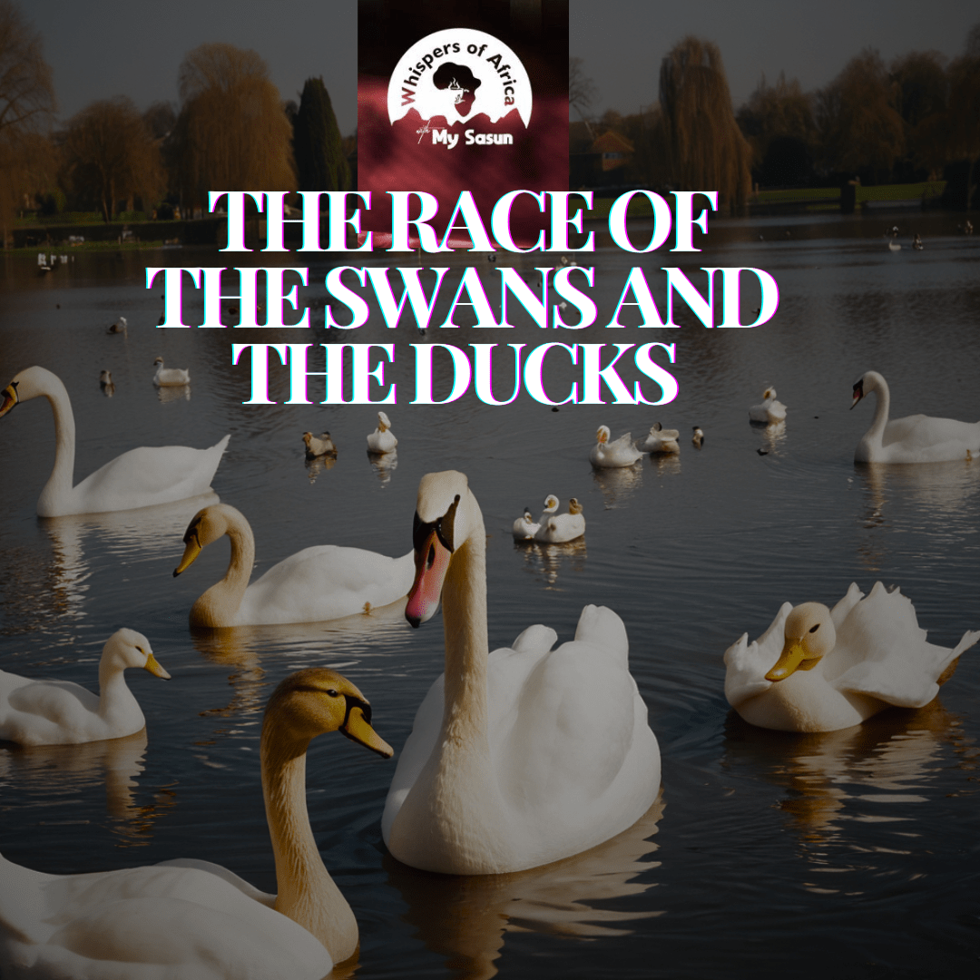 The Race of the Swans and the Ducks