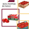 Pepper Bundle