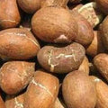 Bitter Kola nuts, also known as Orogbo, rich in vitamins and antioxidants.