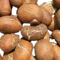 My Sasun Bitter Kola | Orogbo