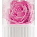 My Sasun Enchanteur Perfumed Talc 125g