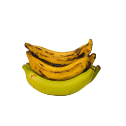 Plantain | 5pcs