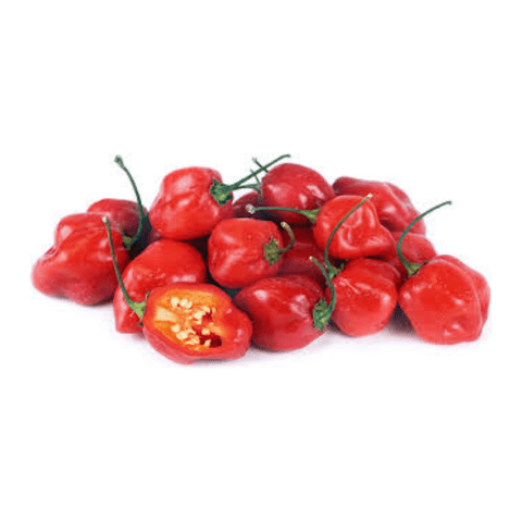 Red Habanero Pepper