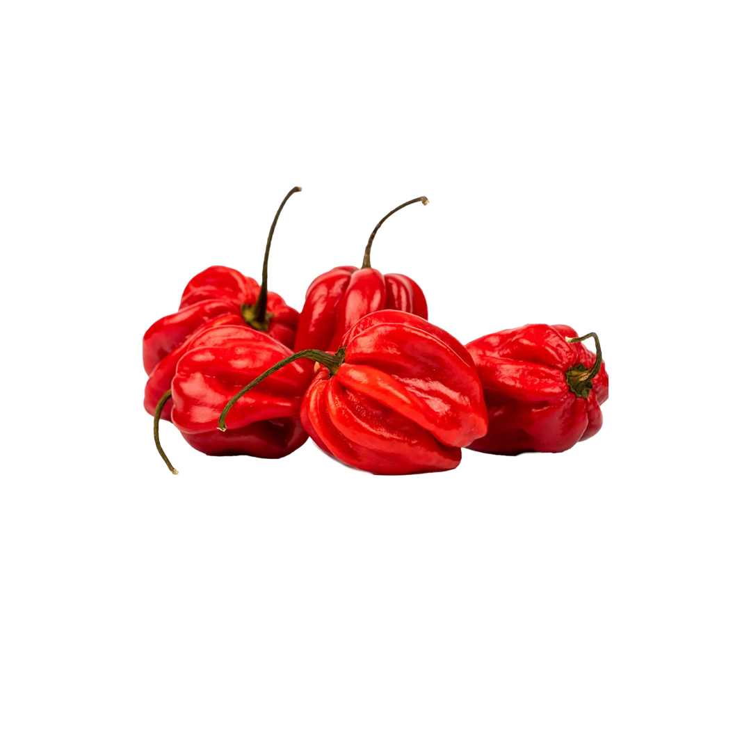 Red Habanero Pepper | Quarter Box