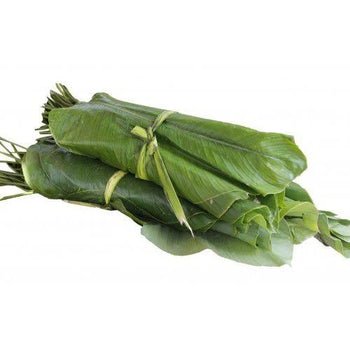 Choice Tropical Moi Moi Leaves fresh green natural wraps for African dishes