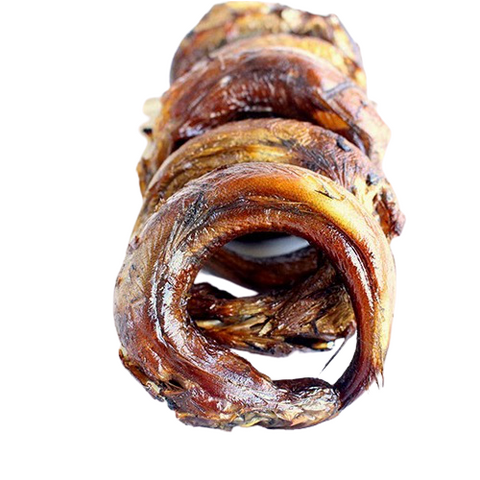 Smoked Panla fish rings arranged in a row, dried and ready for cooking, rich in flavor and protein.