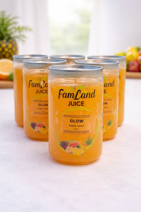 Glow juice drink 6 pack of 6.75 fl oz bottles refreshing fruit beverage