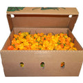 Orange habanero peppers piled together.