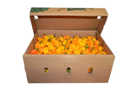 Orange habanero peppers piled together.