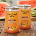 Pine Water pineapple juice drink 6 pack of 6.75 fl oz bottles refreshing tropical flavor