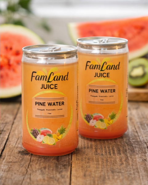 Pine Water pineapple juice drink 6 pack of 6.75 fl oz bottles refreshing tropical flavor