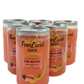 Pine Water pineapple juice drink 6 pack of 6.75 fl oz bottles refreshing tropical flavor