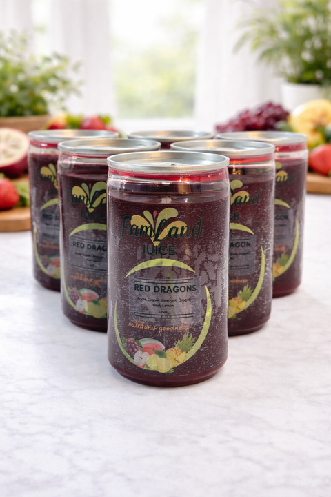 Red Dragon juice drink 6 pack of 6.75 fl oz bottles bold and refreshing fruit flavor