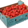 Red habanero peppers in a box, showcasing vibrant red color and plump shape.