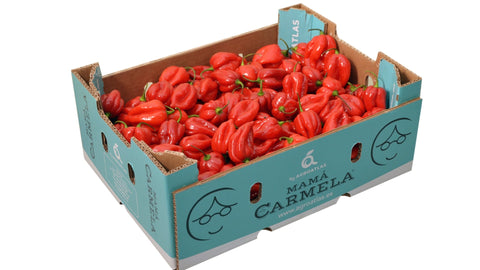 Red habanero peppers in a box, showcasing vibrant red color and plump shape.