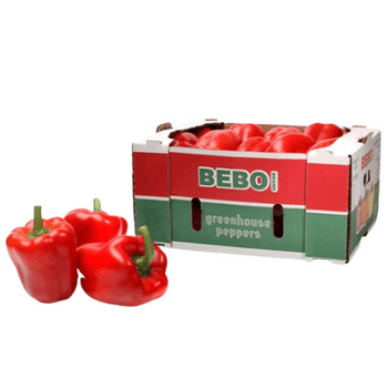 Fresh red bell peppers in a green and red BEBO box from Houston preorder sale