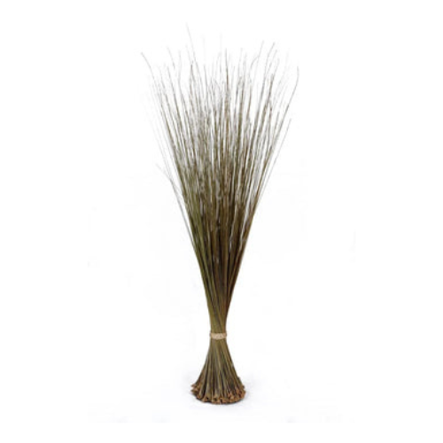African Broom | Igbale